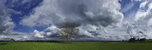 Cloud Formations Impressions: Cloud formations with tree