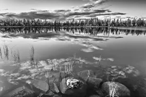 Swedish Forest Scenery Impressions: Cloud reflection in a forest lake