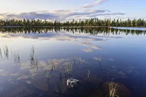 Swedish Forest Lake Impressions: Cloud reflection in a forest lake