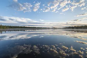 Scandinavian Water Reflections Impressions: Cloud reflection in a forest lake