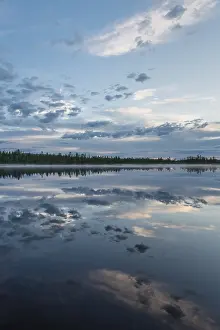 Overcast Sky Landscapes Impressions: Cloud reflection in a forest lake