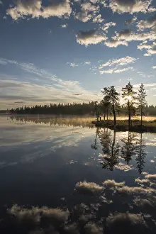Water Reflection In Forest Impressions: Cloud reflection in a forest lake