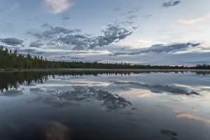 Water Reflection In Forest Impressions: Cloud reflection in a forest lake