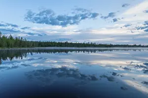 Swedish Forest Lake Impressions: Cloud reflection in a forest lake