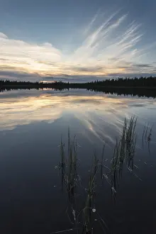 Overcast Sky Landscape Shot Impressions: Cloud reflection in a forest lake