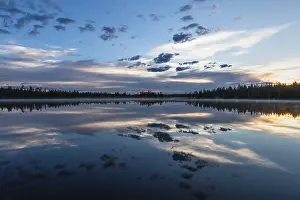 Water Reflection In Forest Impressions: Cloud reflection in a forest lake