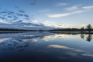 Water Reflection In Forest Impressions: Cloud reflection in a forest lake