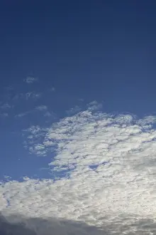 Deserted Daytime Landscape Impressions: Clouds, Cirrocumulus