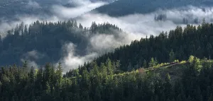 Misty German Countryside Impressions: Clouds in the Thuringian Forest