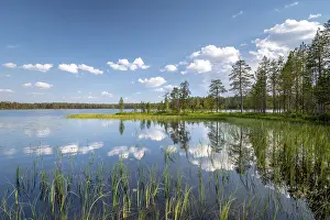 Impressions de Nuages et arbres reflétés dans le lac, touffes d'herbe, parc national de Hossa, Ruhtinansa, Suomussalmi, Kainuu, Finlande Lac Impressions: Nuages et arbres reflétés dans le lac.