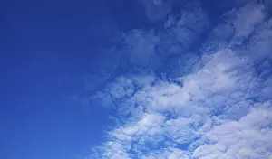 Altocumulus Clouds Impressions: Cloudscape of altocumulus clouds