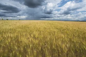 Dramatic Cloudy Skies Impressions: Cloudy dramatic sky over blurred fields