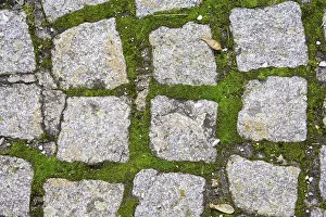 Paving Stone Texture Impressions: Cobbles