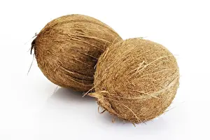 Indoor Grocery Essentials Impressions: Coconuts