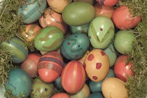 Coloured Easter Eggs Impressions: Coloured Easter eggs in the moss