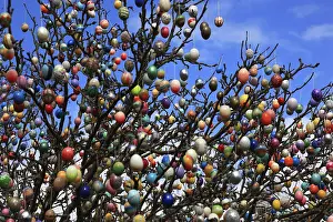 Colorful Easter Traditions Impressions: Many colourful Easter eggs on a tree