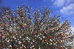 Easter Egg Decoration Impressions: Many colourful Easter eggs on a tree