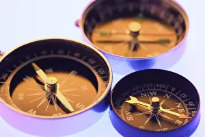 Cardinal Directions Impressions: Compass