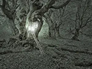 Symbolic Landscape Photography Impressions: Compose: Treehouse