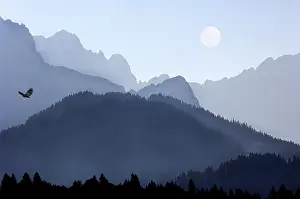 Mountain Peak Scenery Impressions: COMPOSING moon eagle