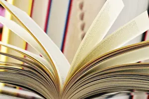 Educational Institution Interior Impressions: Composition with books on the table