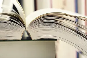 Educational Institution Scene Impressions: Composition with books on the table