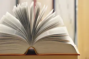Empty Library Scene Impressions: Composition with books on the table