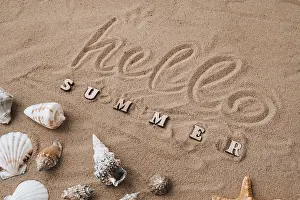 Text Free Space For Holidays Impressions: Composition with text HELLO SUMMER seashells