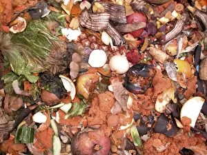 Vegetable Garden Impressions: Compost