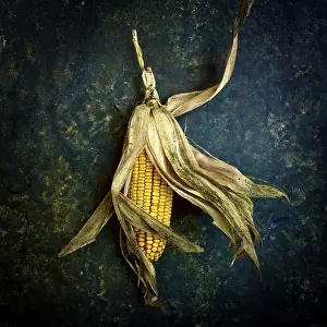 Corn On The Cob Impressions: Corn on the cob