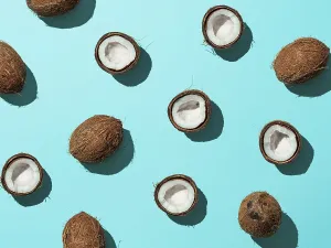Pastel Colored Backgrounds Impressions: Creative layout of coconuts half on blue background