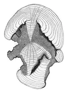 Empty Uninhabited Landscape Art Impressions: Cross-section at the stem shown in fig