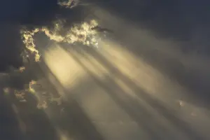 Cumulonimbus Cloud Formation Impressions: Cumulus cloud and rays of sunlight in the evening