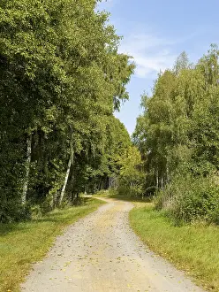 East Germany Impressions: Cycle path and sandy path, Schlepzig
