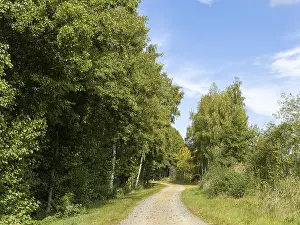 East Germany Landscapes Impressions: Cycle path and sandy path, Schlepzig