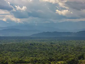 Overcast Sky Nature Scene Impressions: Dark clouds over the Amazon rainforest