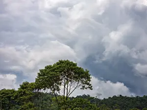 Tropical Jungle Landscape Impressions: Dark clouds over the Amazon rainforest