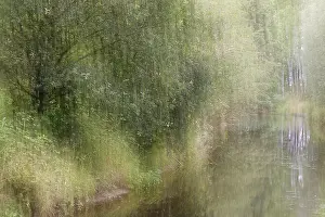 Long Time Exposure Photography Impressions: Deciduous forest on a stream, blurred