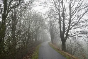 German Countryside Winter Impressions: Deciduous trees by the wayside