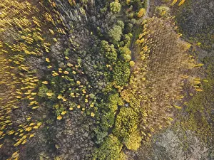 Wilderness Exploration Impressions: Default