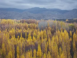 Autumnal Mountain View Impressions: Default