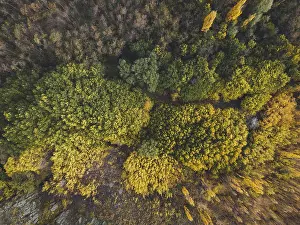 Mountain Trekking Adventure Impressions: Default