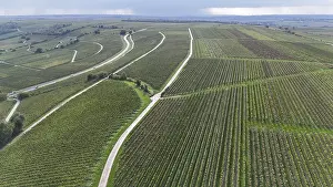 Wine Growing Regions Germany Impressions: Default