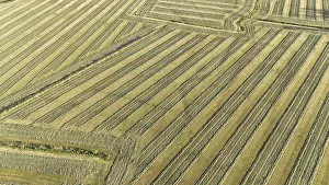 Agricultural Landscapes Impressions: Default