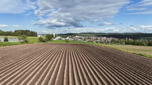 German Farmland Landscape Impressions: Default