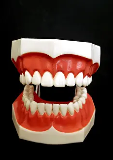 Oral Hygiene Icon Impressions: Denture model