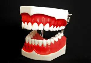 Oral Hygiene Symbol Impressions: Denture model