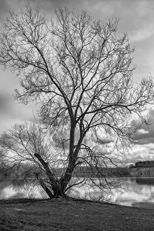 Landscape Photography Impressions: Der Baum am See