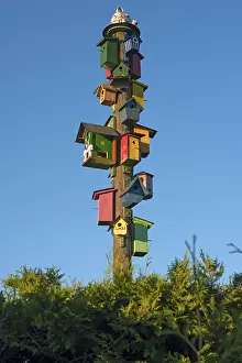 German Breeding Ground Impressions: Many different coloured nesting boxes on a stake