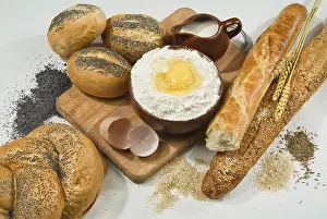 Different Kinds Of Bread Impressions: Different kinds of bread on a studio background